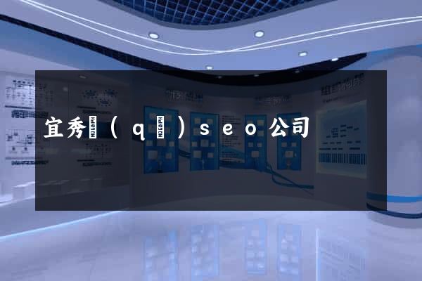 宜秀區(qū)seo公司