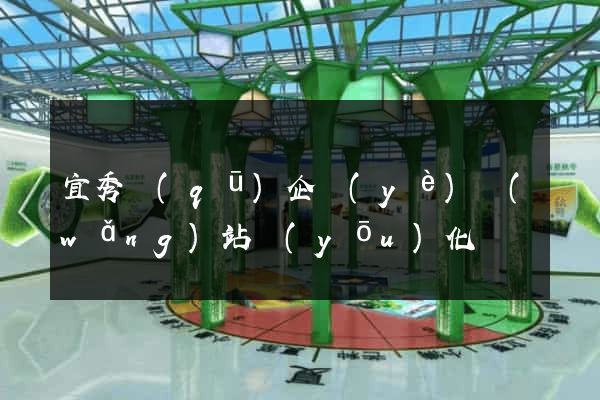 宜秀區(qū)企業(yè)網(wǎng)站優(yōu)化