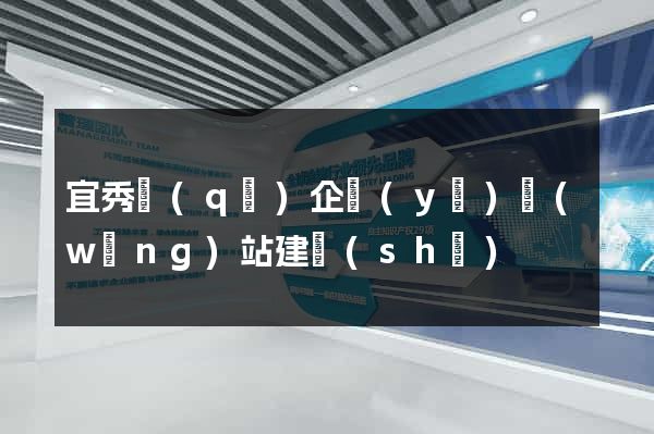 宜秀區(qū)企業(yè)網(wǎng)站建設(shè)