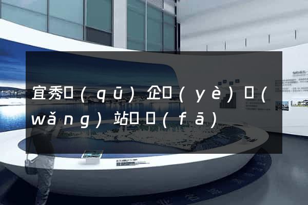 宜秀區(qū)企業(yè)網(wǎng)站開發(fā)