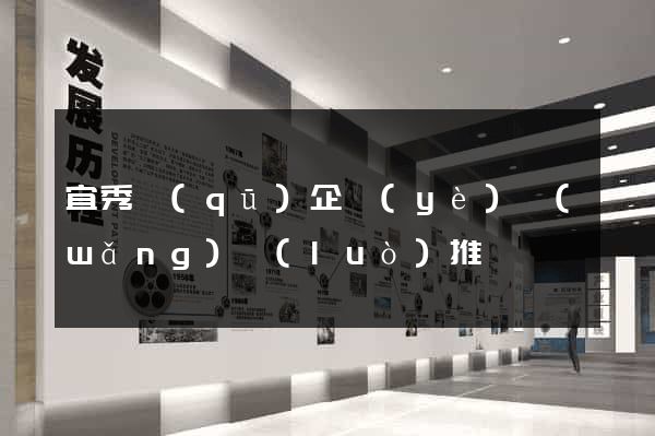 宜秀區(qū)企業(yè)網(wǎng)絡(luò)推廣