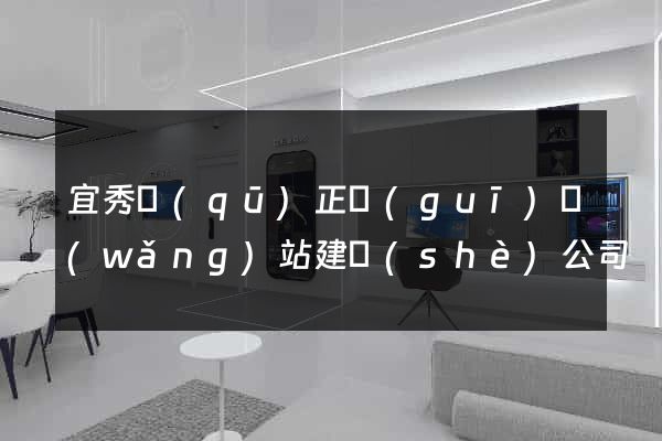 宜秀區(qū)正規(guī)網(wǎng)站建設(shè)公司