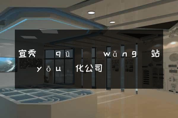 宜秀區(qū)網(wǎng)站優(yōu)化公司