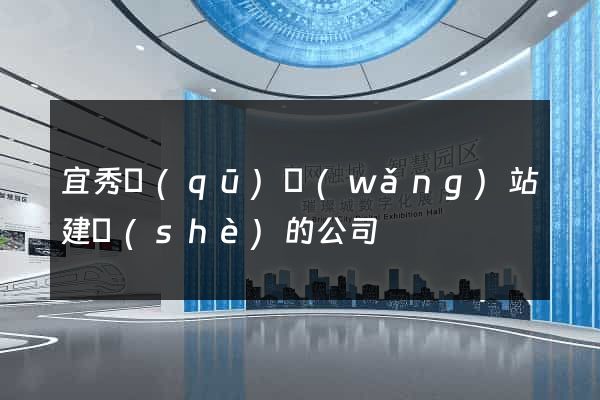 宜秀區(qū)網(wǎng)站建設(shè)的公司