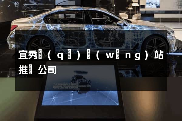 宜秀區(qū)網(wǎng)站推廣公司