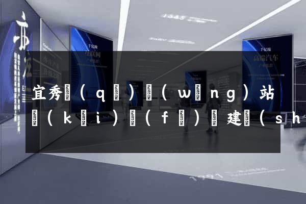 宜秀區(qū)網(wǎng)站開(kāi)發(fā)與建設(shè)