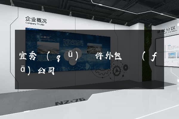 宜秀區(qū)軟件外包開發(fā)公司