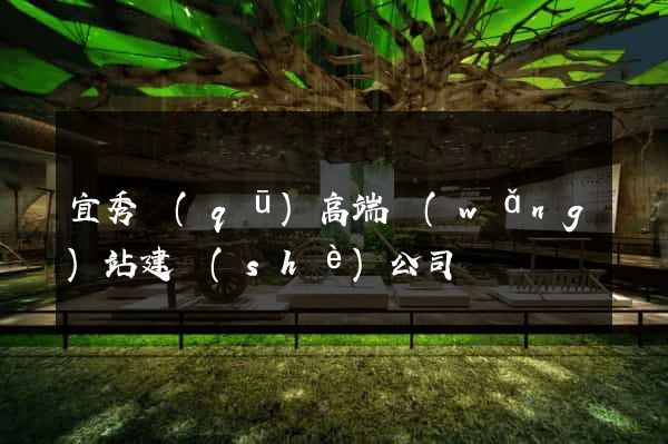宜秀區(qū)高端網(wǎng)站建設(shè)公司