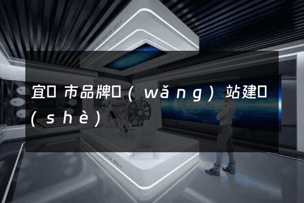 宜興市品牌網(wǎng)站建設(shè)