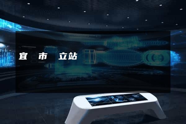 宜興市獨立站運營