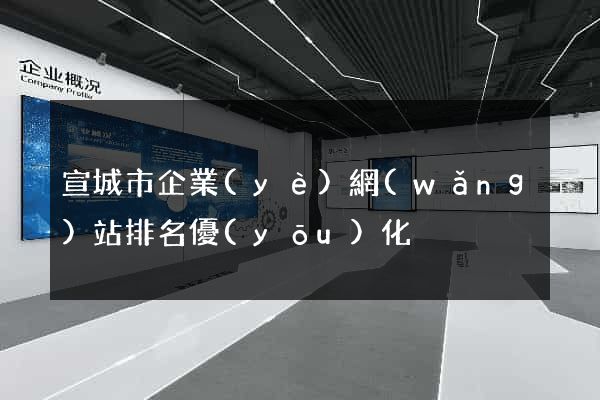宣城市企業(yè)網(wǎng)站排名優(yōu)化