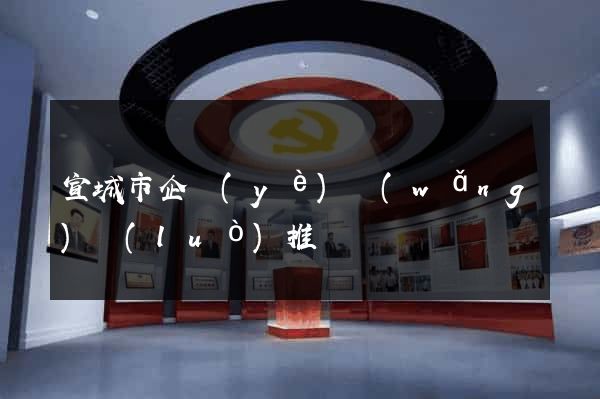宣城市企業(yè)網(wǎng)絡(luò)推廣