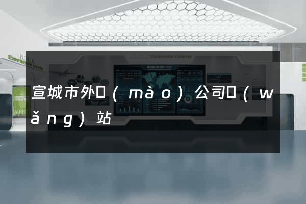 宣城市外貿(mào)公司網(wǎng)站