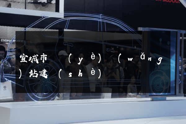 宣城市專業(yè)網(wǎng)站建設(shè)