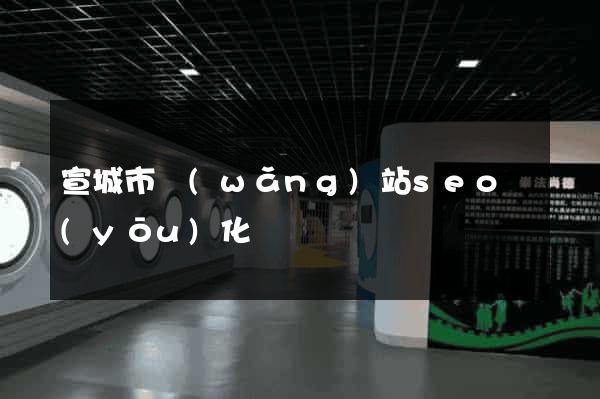 宣城市網(wǎng)站seo優(yōu)化