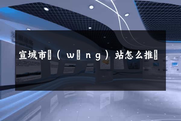 宣城市網(wǎng)站怎么推廣