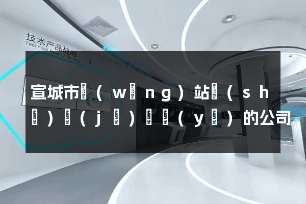宣城市網(wǎng)站設(shè)計(jì)專業(yè)的公司