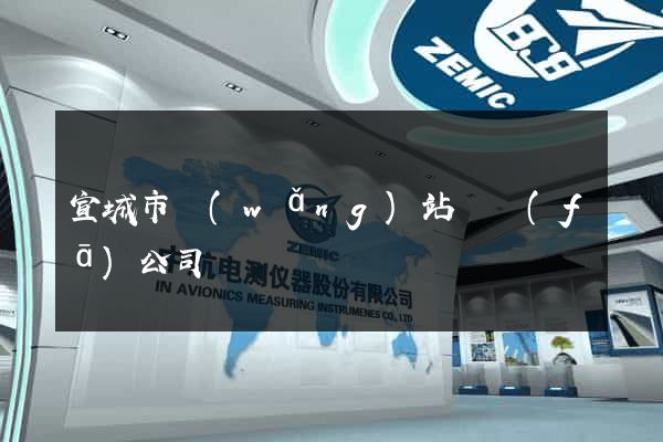 宣城市網(wǎng)站開發(fā)公司