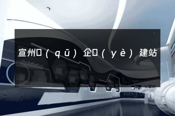 宣州區(qū)企業(yè)建站