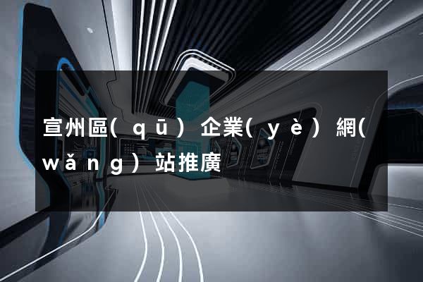 宣州區(qū)企業(yè)網(wǎng)站推廣