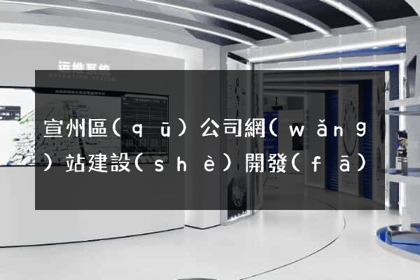 宣州區(qū)公司網(wǎng)站建設(shè)開發(fā)