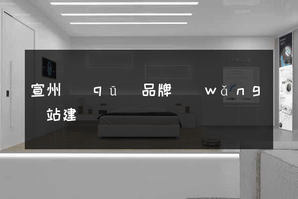 宣州區(qū)品牌網(wǎng)站建設