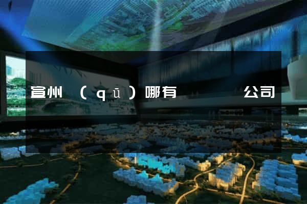 宣州區(qū)哪有網頁設計公司