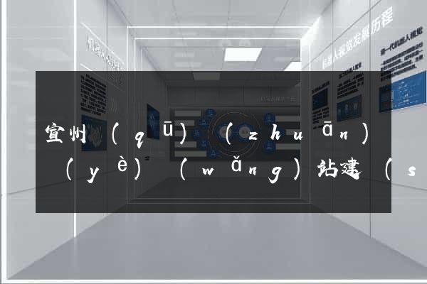 宣州區(qū)專(zhuān)業(yè)網(wǎng)站建設(shè)