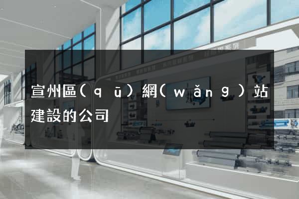 宣州區(qū)網(wǎng)站建設的公司