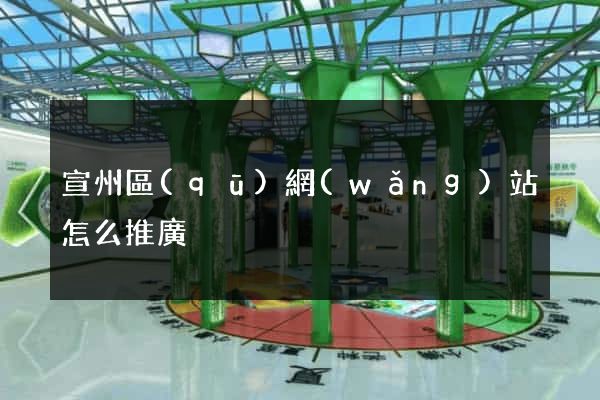 宣州區(qū)網(wǎng)站怎么推廣
