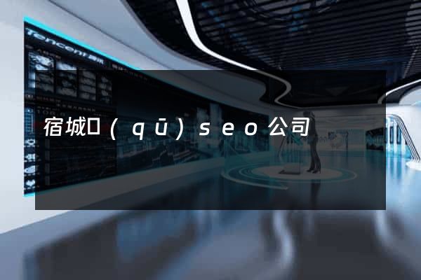 宿城區(qū)seo公司