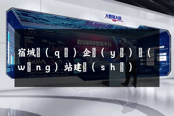 宿城區(qū)企業(yè)網(wǎng)站建設(shè)