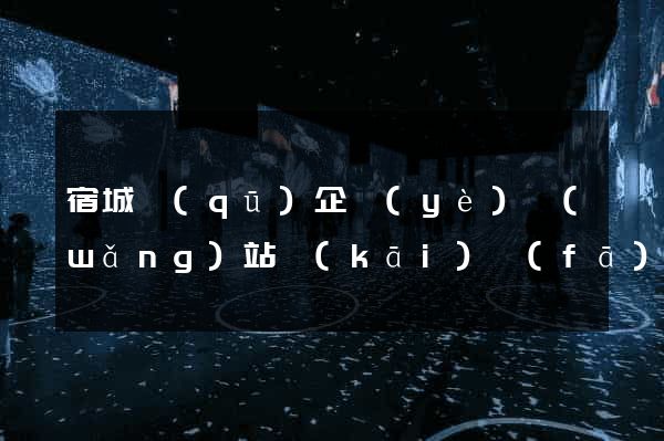 宿城區(qū)企業(yè)網(wǎng)站開(kāi)發(fā)