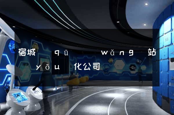 宿城區(qū)網(wǎng)站優(yōu)化公司