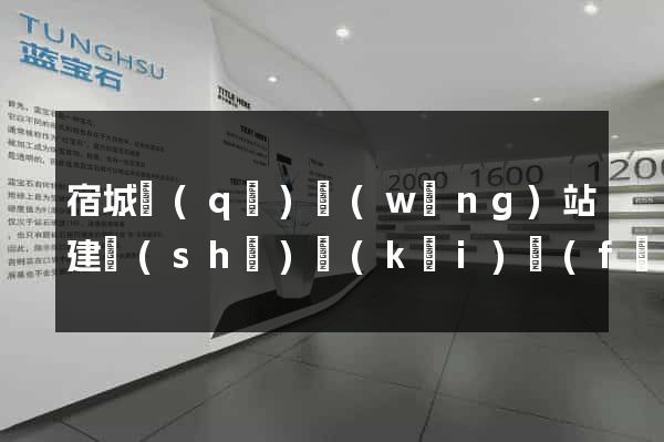 宿城區(qū)網(wǎng)站建設(shè)開(kāi)發(fā)公司