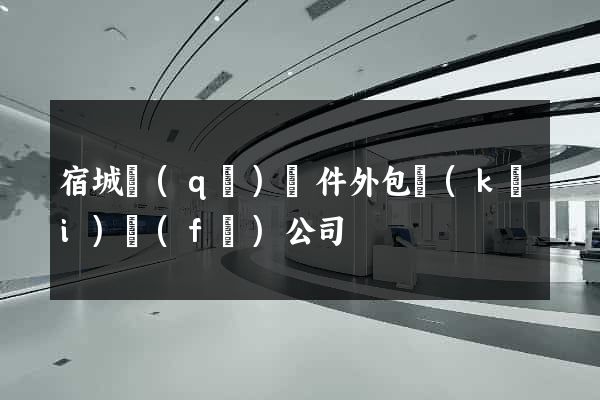 宿城區(qū)軟件外包開(kāi)發(fā)公司
