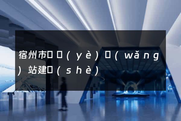 宿州市專業(yè)網(wǎng)站建設(shè)