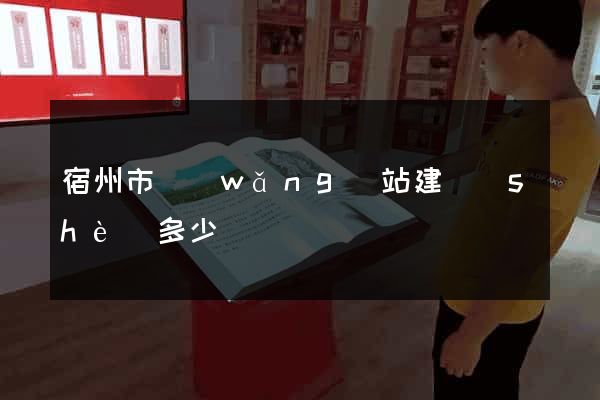 宿州市網(wǎng)站建設(shè)多少錢