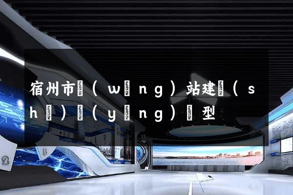 宿州市網(wǎng)站建設(shè)營(yíng)銷型