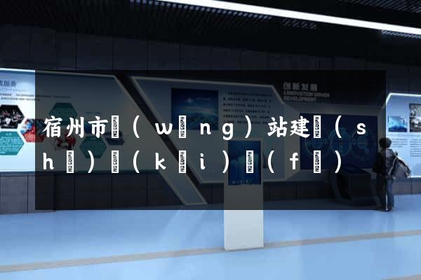 宿州市網(wǎng)站建設(shè)開(kāi)發(fā)