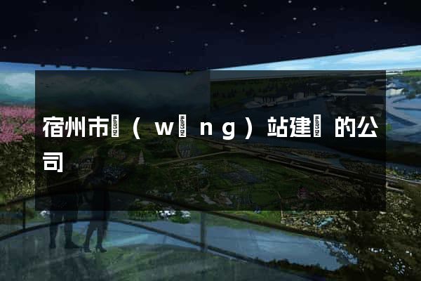 宿州市網(wǎng)站建設的公司