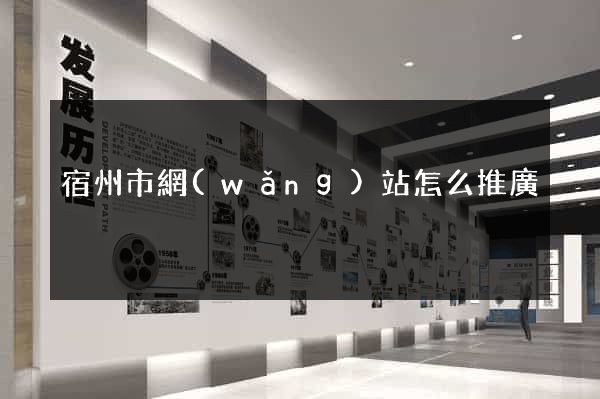 宿州市網(wǎng)站怎么推廣