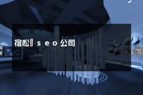 宿松縣seo公司
