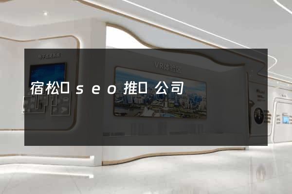 宿松縣seo推廣公司