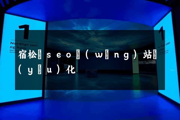 宿松縣seo網(wǎng)站優(yōu)化