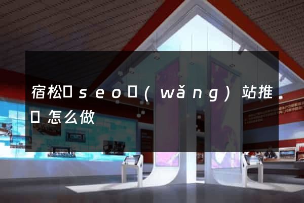宿松縣seo網(wǎng)站推廣怎么做