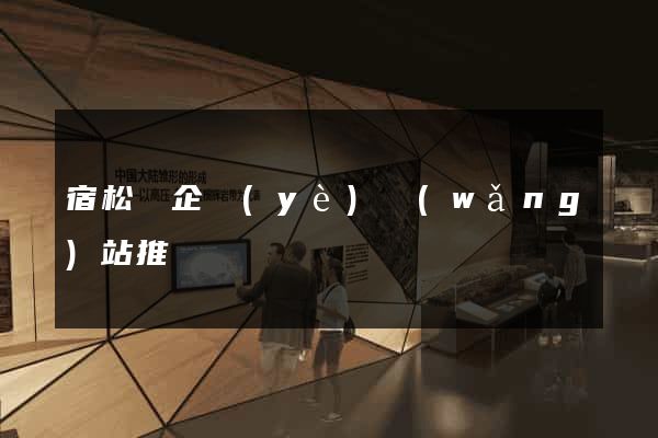 宿松縣企業(yè)網(wǎng)站推廣