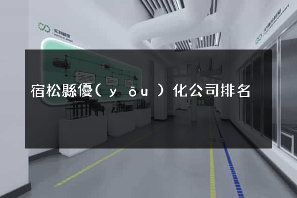 宿松縣優(yōu)化公司排名
