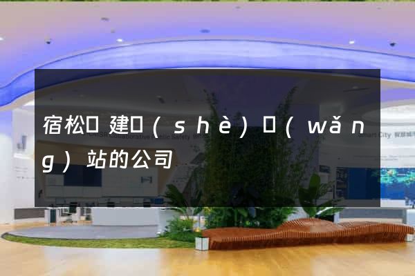 宿松縣建設(shè)網(wǎng)站的公司
