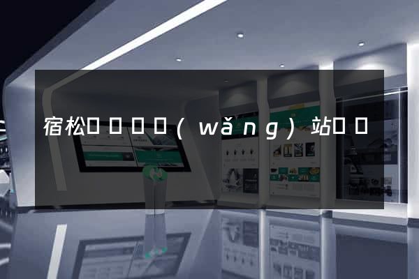 宿松縣營銷網(wǎng)站設計